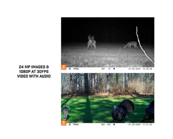 Bushnell Prime 24mp Low Glow Trail Camera