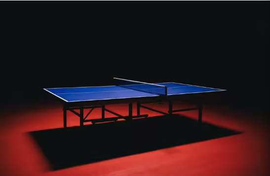 Pongori ITTF Approved Club Table Tennis table TTT 500