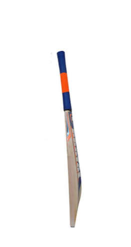 Protos Size 4 Thunder Cricket Bat
