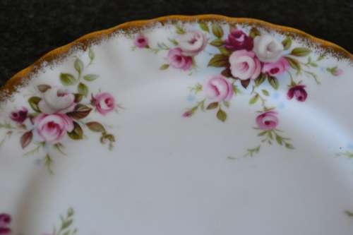 Royal Albert Saucer "Cottage Garden'" Side Plate