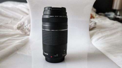 Canon EF 75-300mm f/4-5.6 Mark III