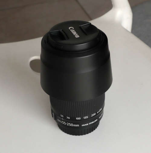 Canon EF-S 55-250mm f4-5.6 IS STM Lens