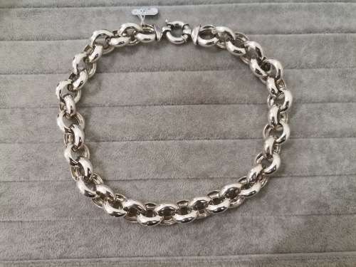 Big Silver Rolo Chain