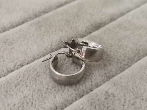 Small Silver Hoop earrings