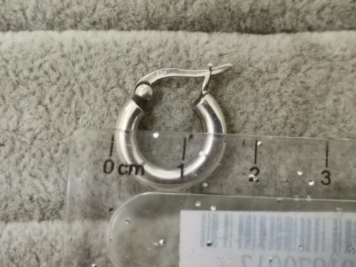 Small Sterling Silver Hoop Earrings