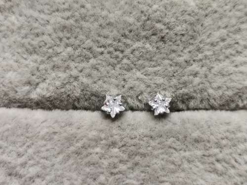 Silver Star Stud earrings