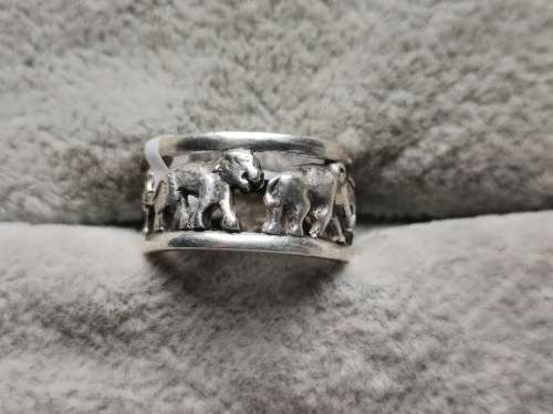 Silver Big 5 Ring