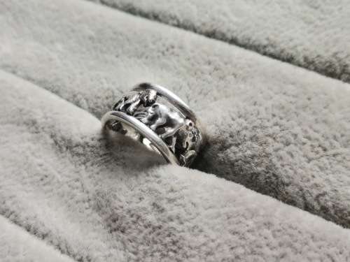 Silver Big 5 Ring