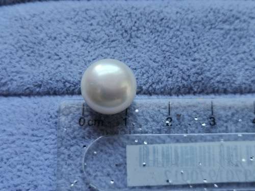 Discount!! 9ct Gold Pearl Earrings