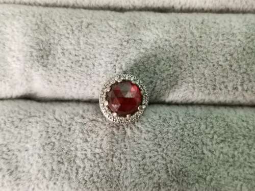 DISCOUNT!!! Dazzling Pandora Charm