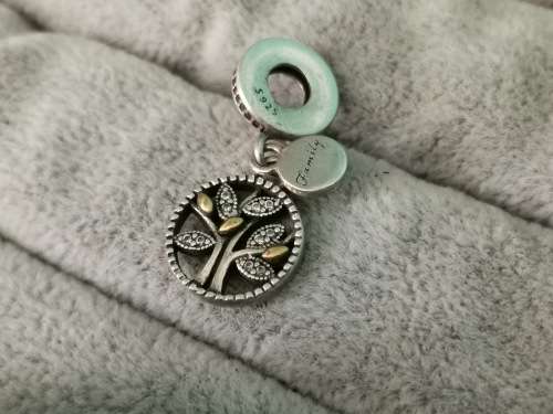 DISCOUNT!!! Pandora Family Charm