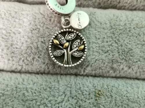 DISCOUNT!!! Pandora Family Charm