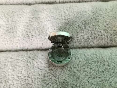 DISCOUNT!!! Dazzling Pandora Charm