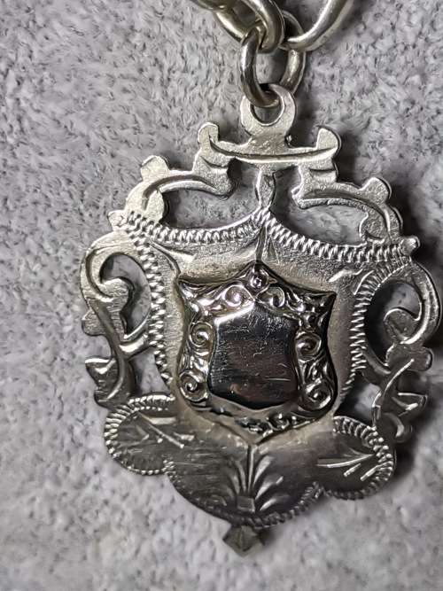 Antique Paperclip Chain
