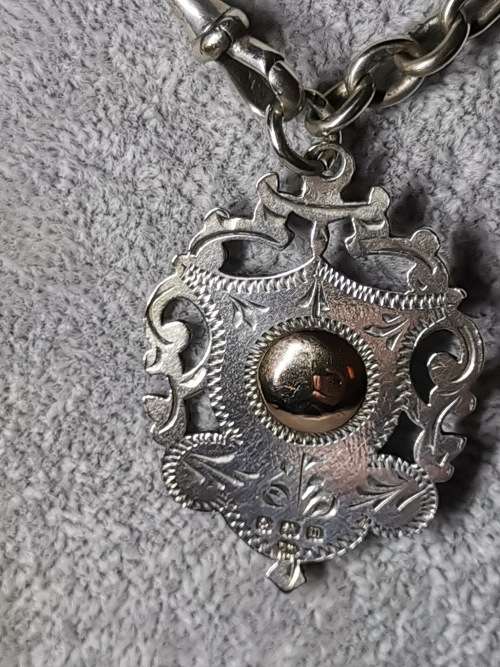 Antique Paperclip Chain
