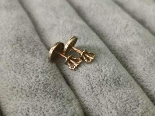14ct Gold BVLCARY Earrings