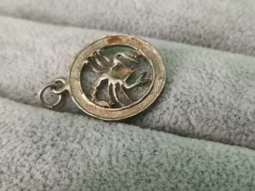 DISCOUNT!!! Silver Scorpion Pendant