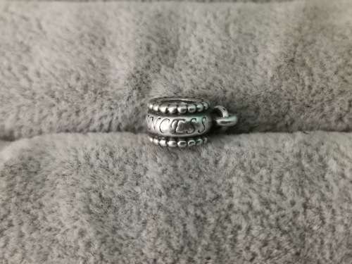 Pandora Princess Charm