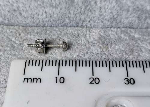 Silver Stud Earring