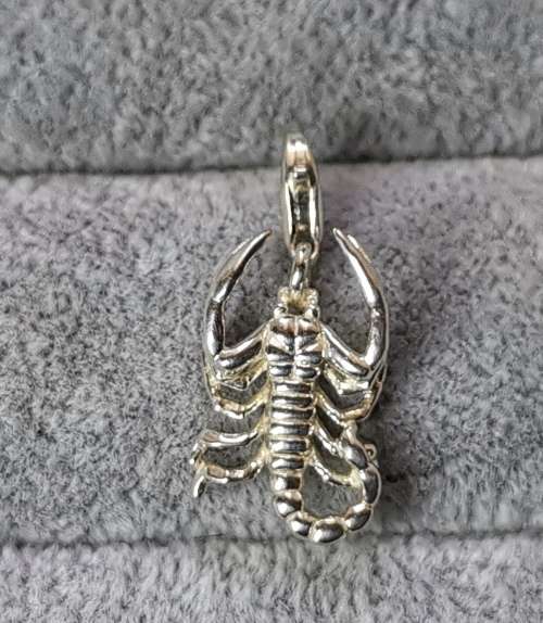 Silver Scorpion Charm