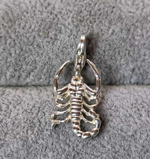 Silver Scorpion Charm