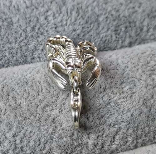 Silver Scorpion Charm