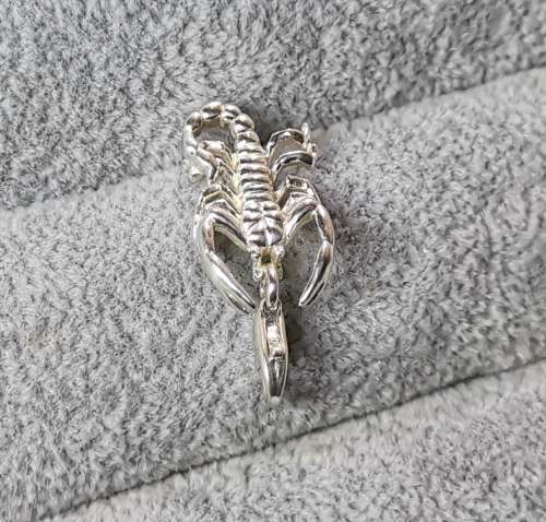 Silver Scorpion Charm