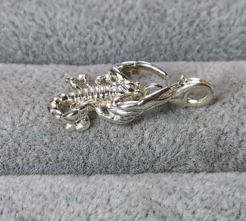 Silver Scorpion Charm