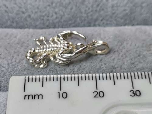 Silver Scorpion Charm