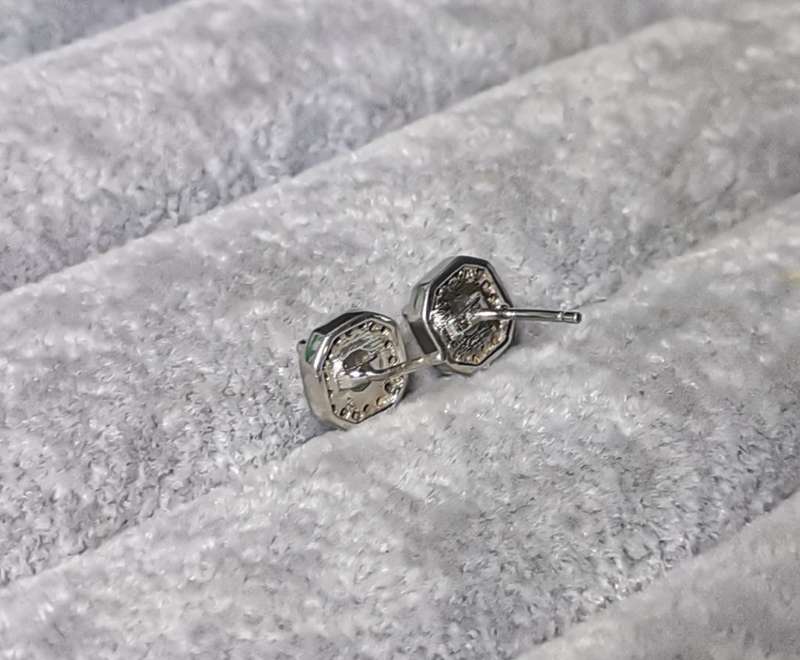 Dazzling Silver Earrings
