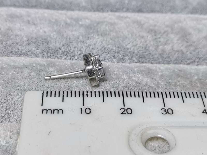 Dazzling Silver Earrings