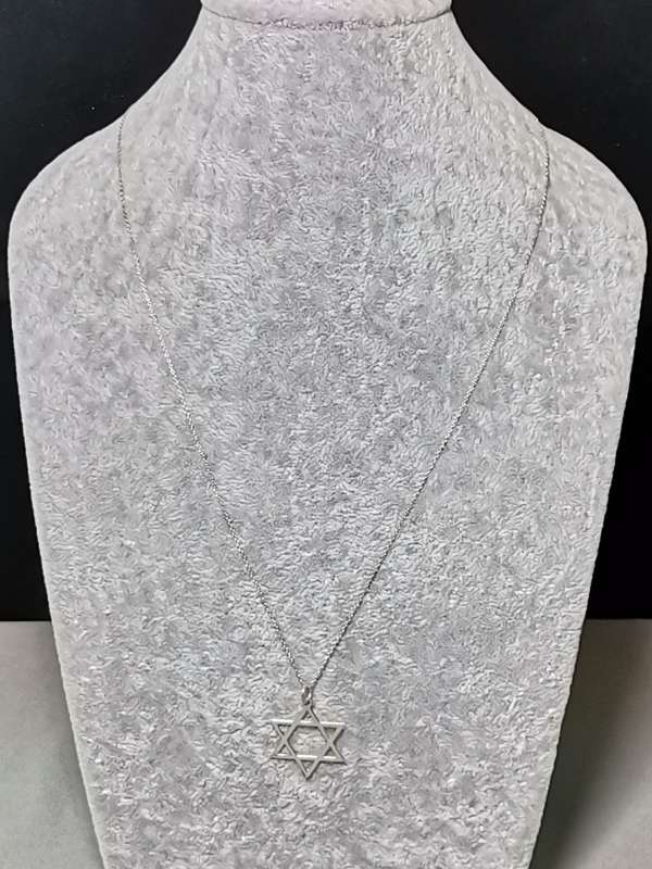 Silver Star of David Necklace