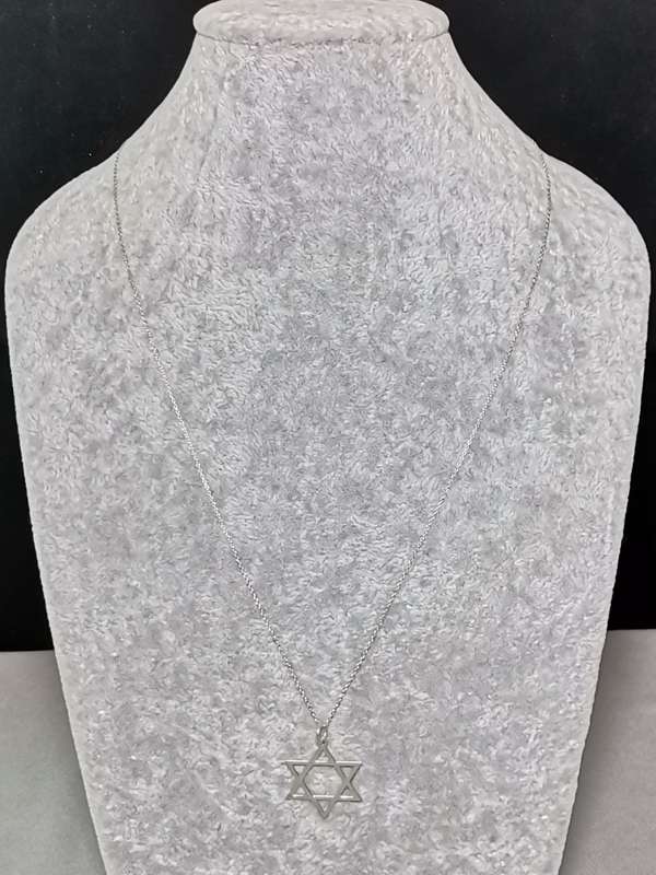 Silver Star of David Necklace