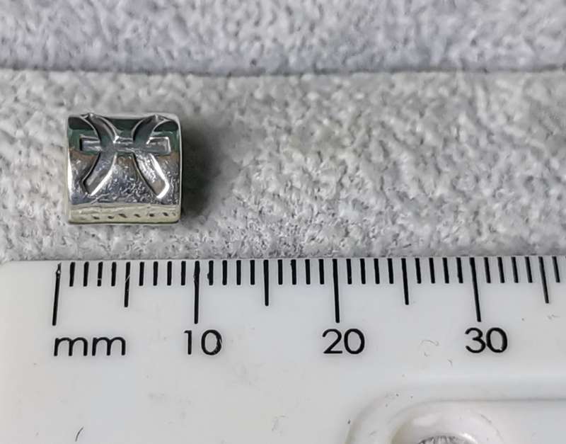 Pandora Pisces Charm