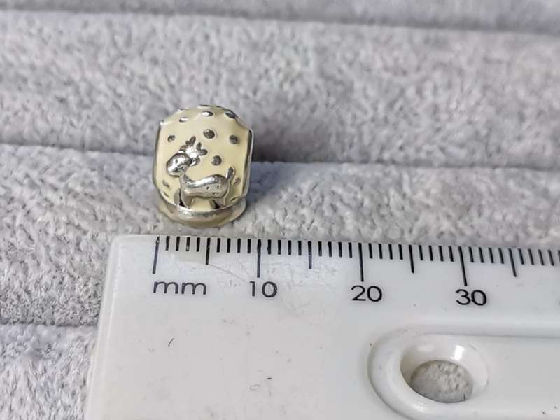 Pandora Snow Globe Charm