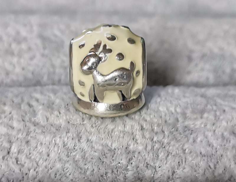 Pandora Snow Globe Charm