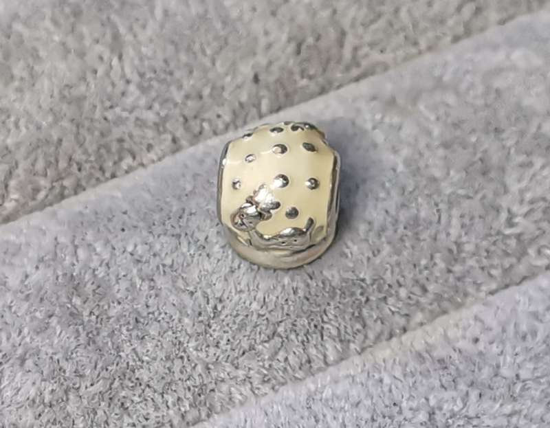 Pandora Snow Globe Charm