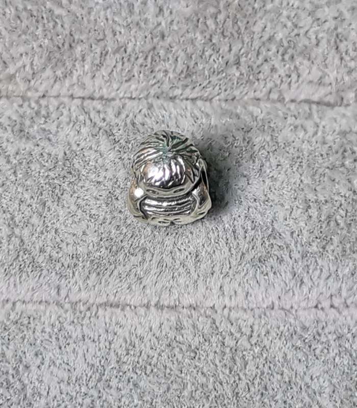 Pandora Boy Charm