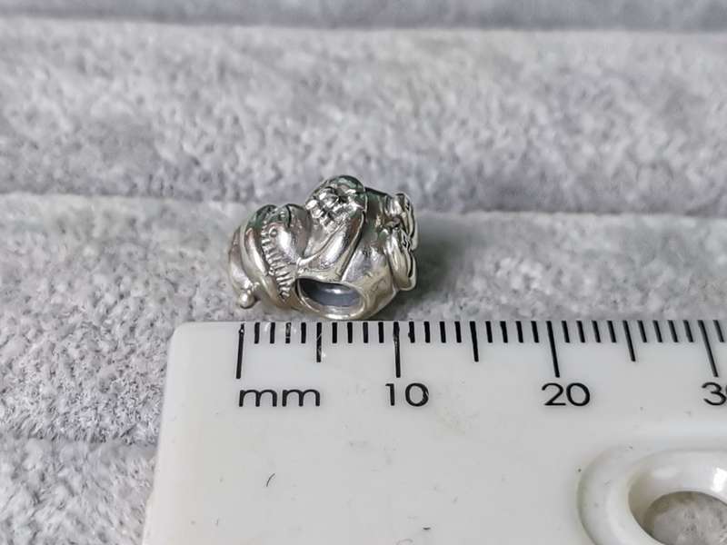 Pandora Gnome Charm