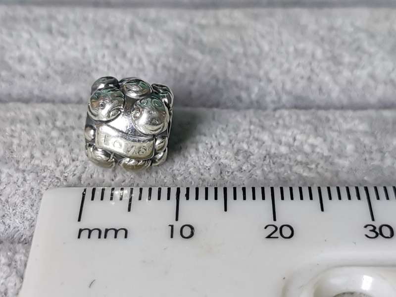 Pandora Love And Family Charm
