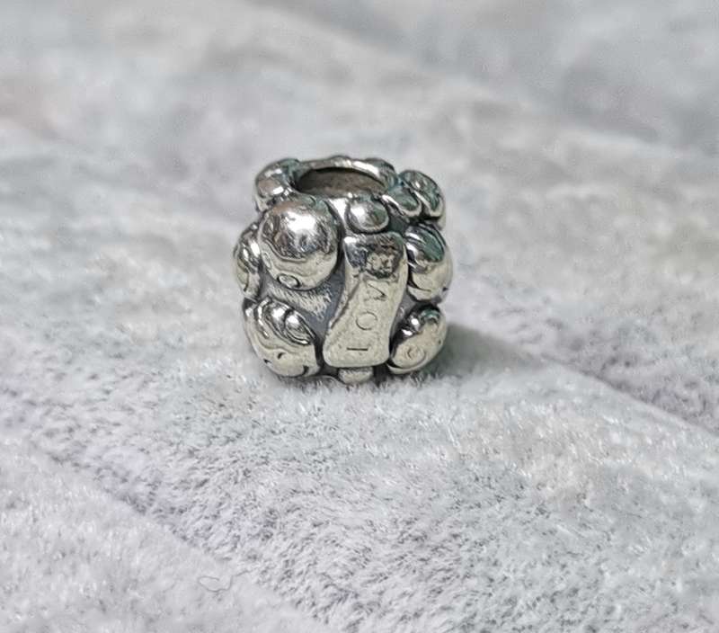 Pandora Love And Family Charm
