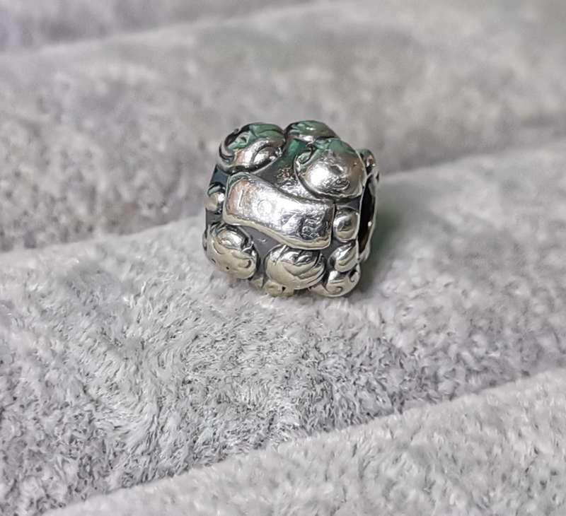Pandora Love And Family Charm