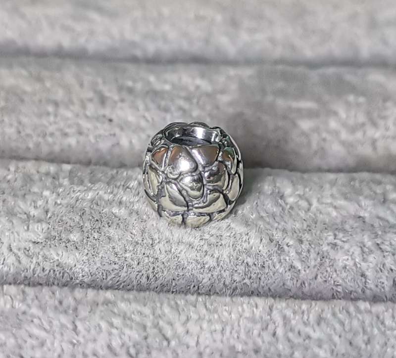 Pandora Lotsa Love Charm