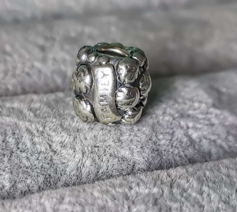 Pandora Love and Family Charm