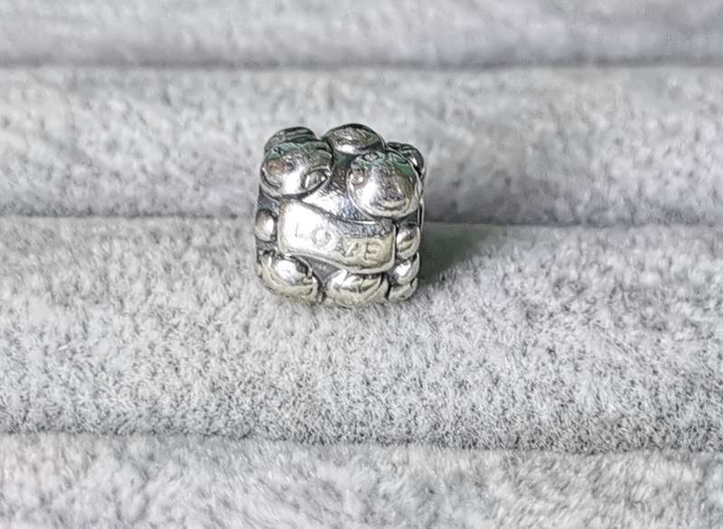 Pandora Love and Family Charm