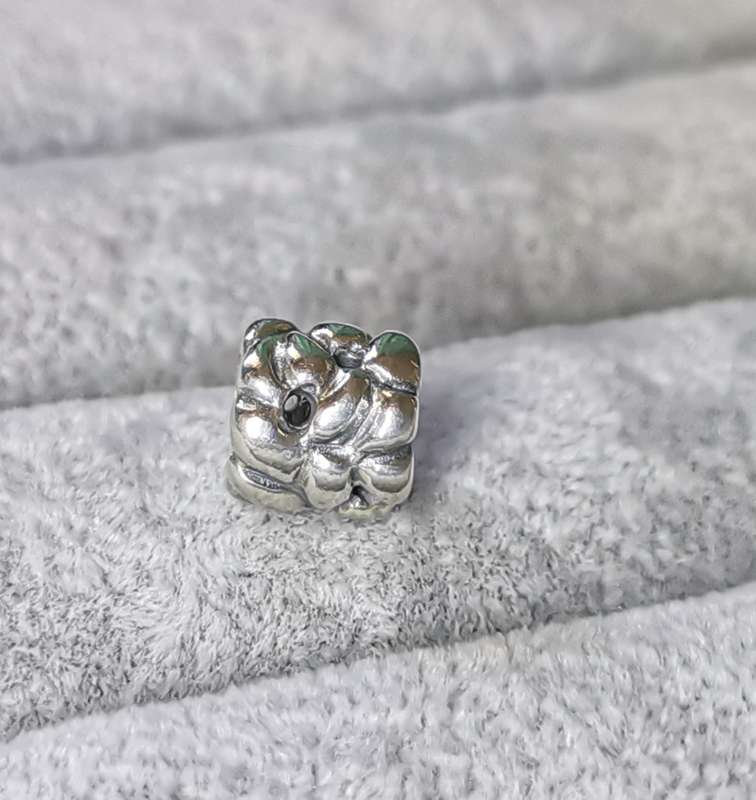 Pandora Whipped Spiral Charm