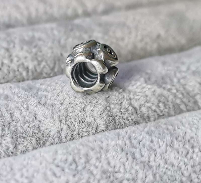 Pandora Rose Leaves Log Charm