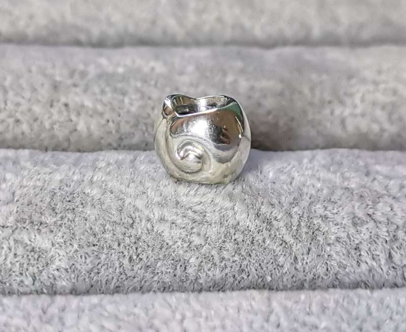 Pandora Snail Shell Charm