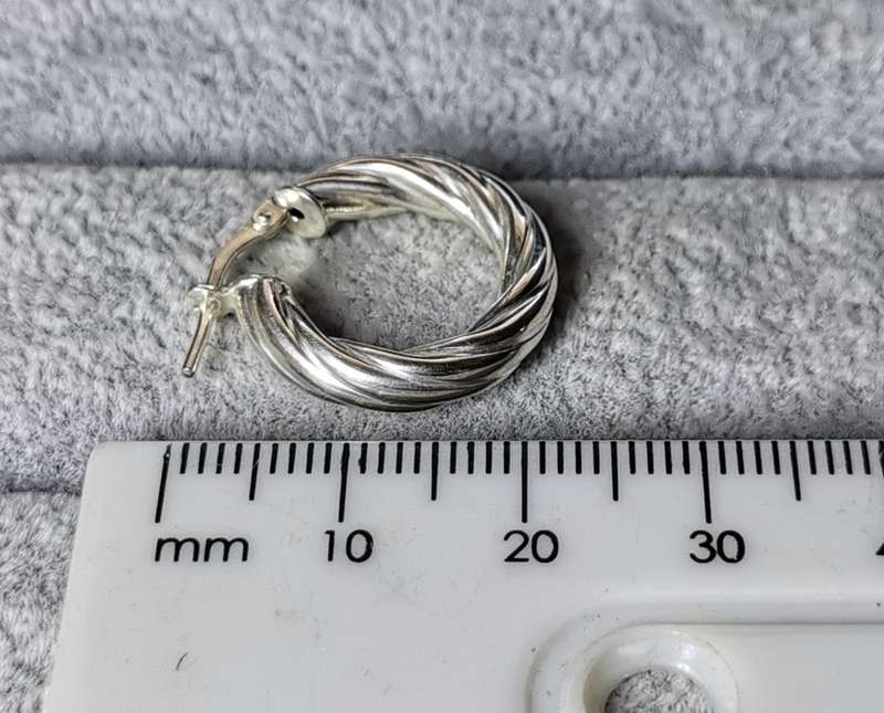 Silver Hoop Earrings