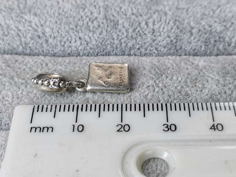 Silver Pandora Passport Charm